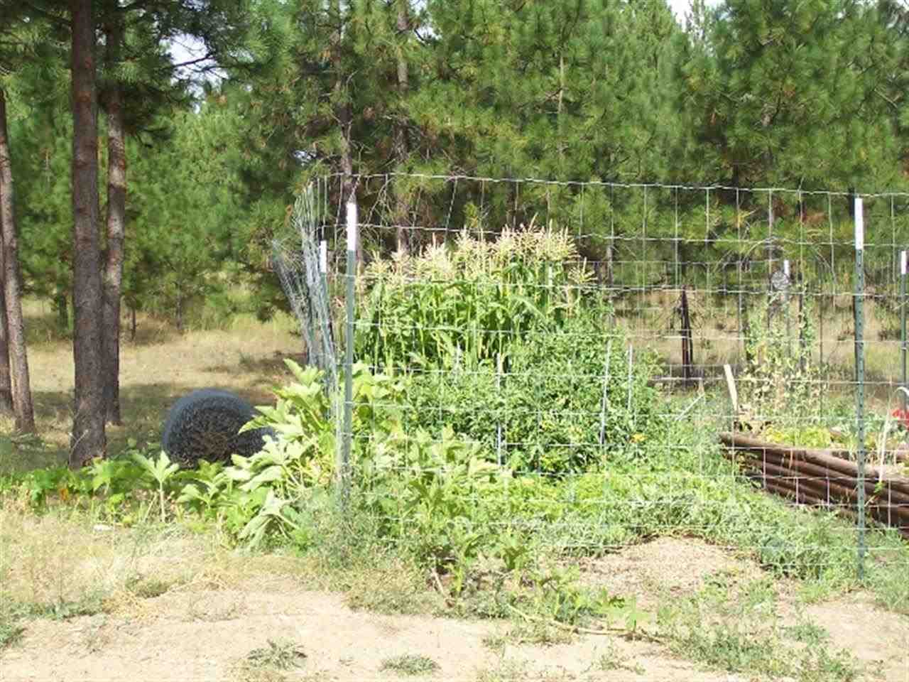 5506 Glen Grove Staley Rd - Photo 12