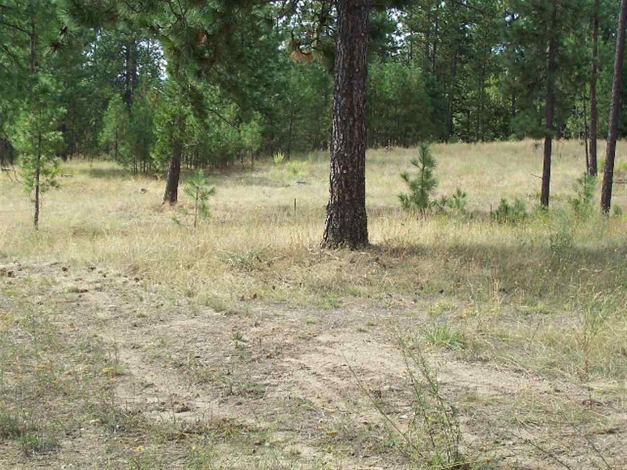 5506 Glen Grove Staley Rd - Photo 13