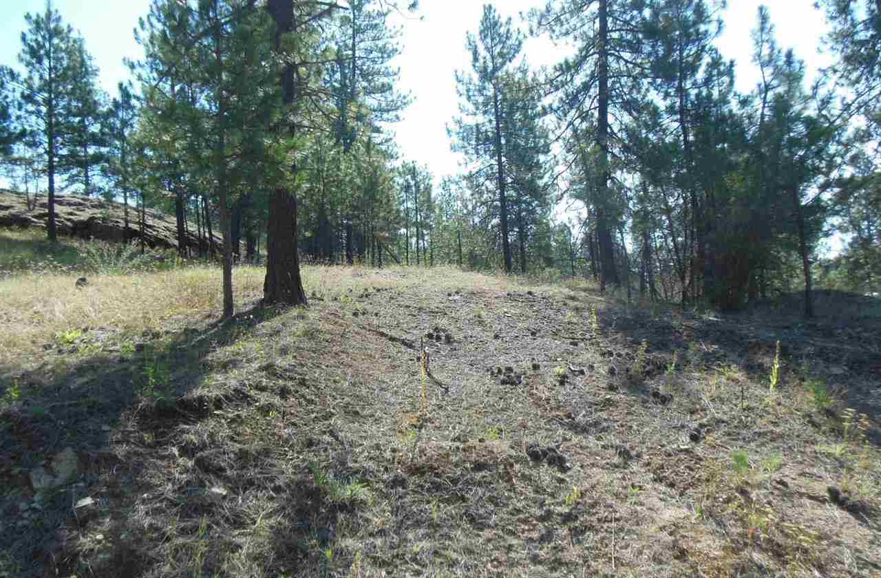 33206 N Hardesty Rd - Photo 8