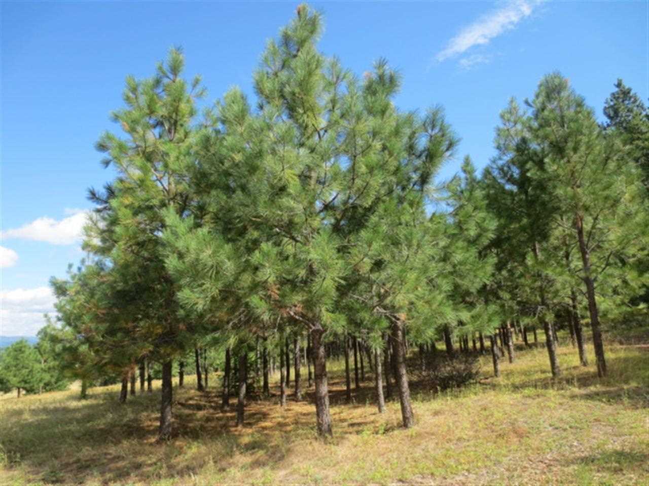 5049 S Swenson Rd - Photo 15