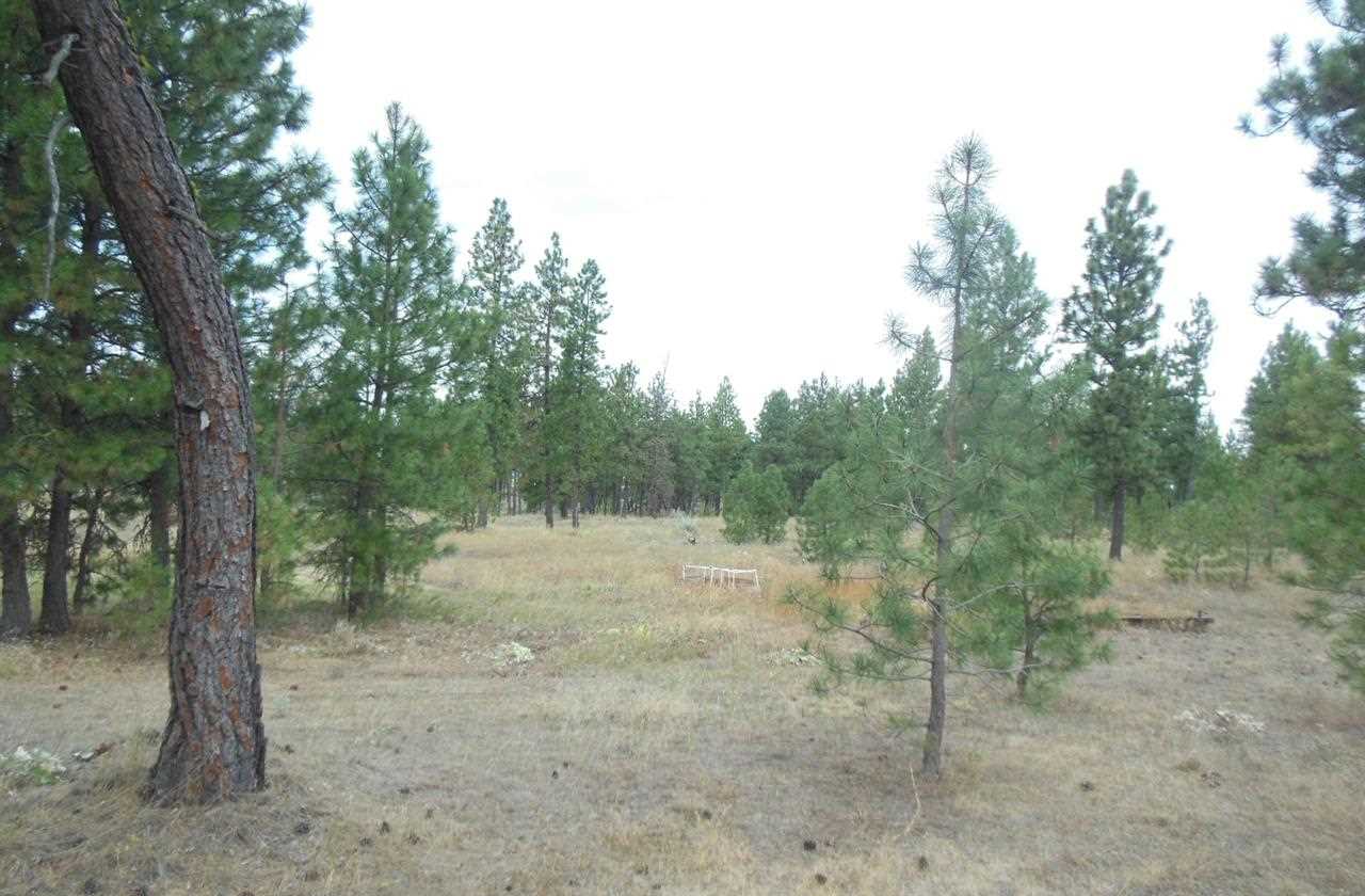 29220 W Cornwall Rd - Photo 11