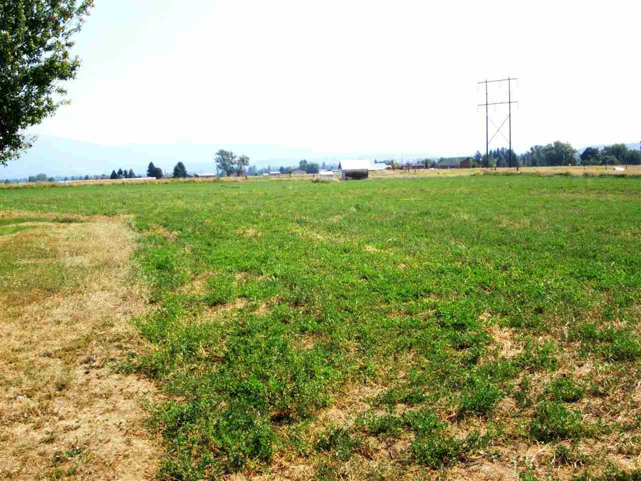 26510 N Dalton Rd - Photo 3