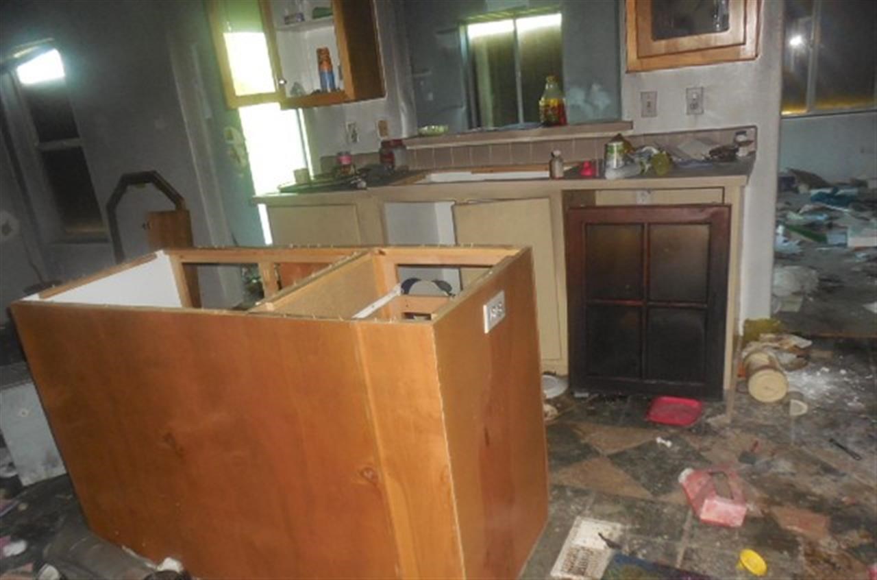102 Enchanted Forest Ln - Photo 4