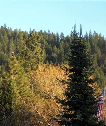 4762 Hwy 231 - Photo 12