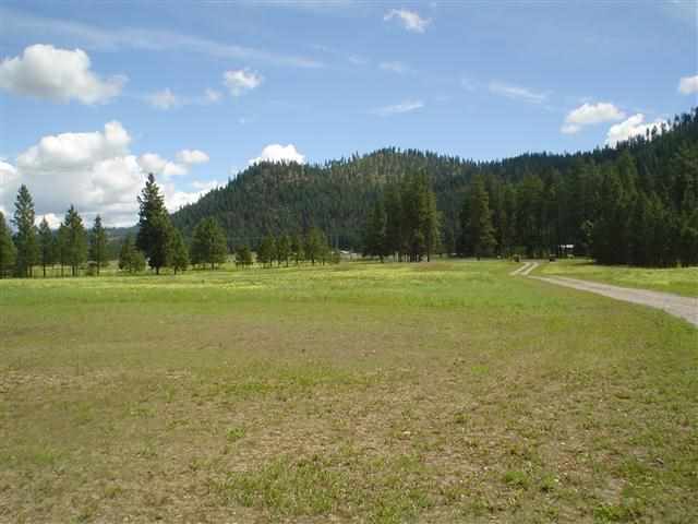 4762 Hwy 231 - Photo 15