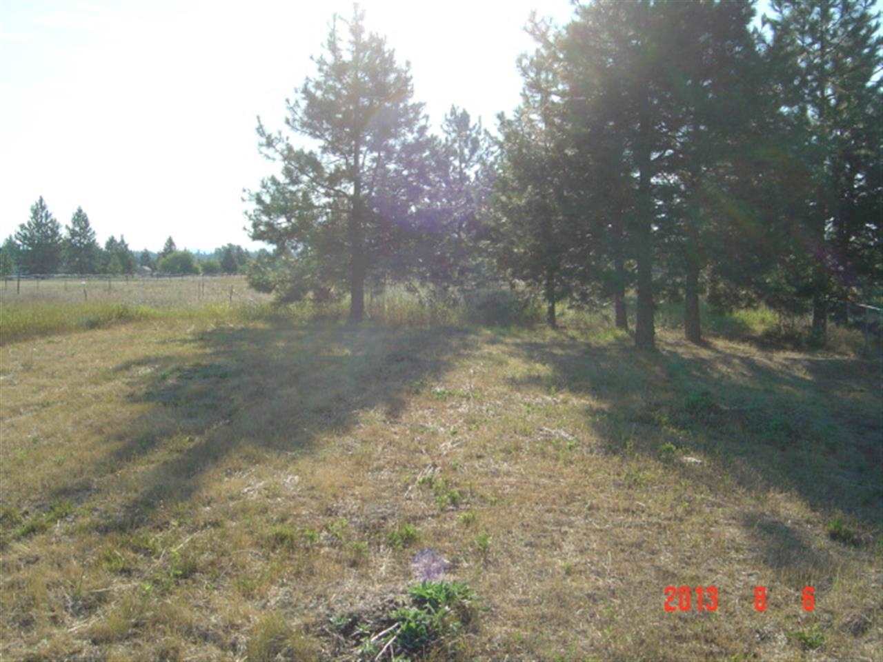 2620 W Burroughs Rd - Photo 18