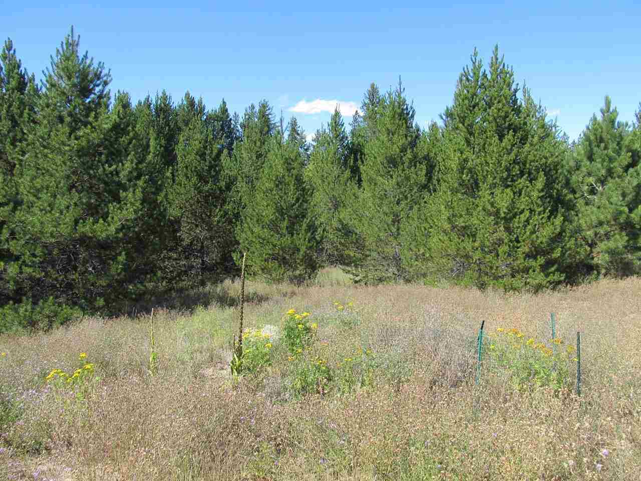 4892 Spring Valley Rd - Photo 3