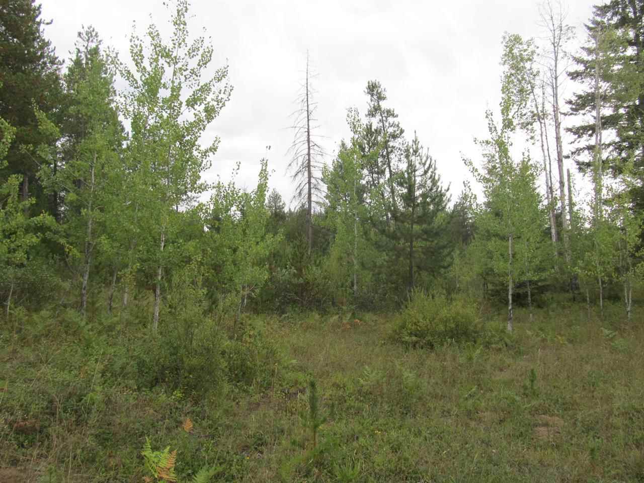 325102 Hwy 2 - Photo 15