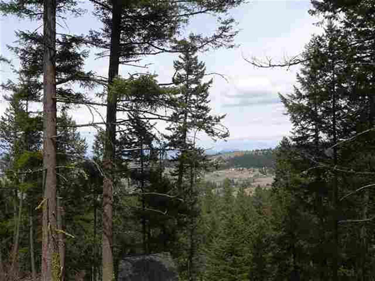 5620 Red Fir Lane - Photo 3