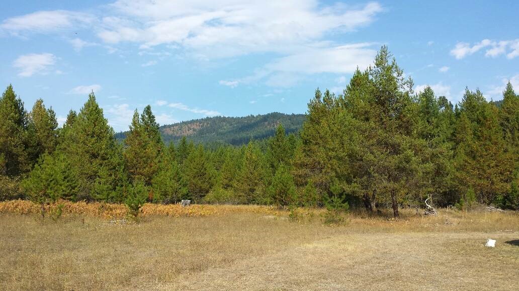 Lot 3 Edgewater - Photo 3
