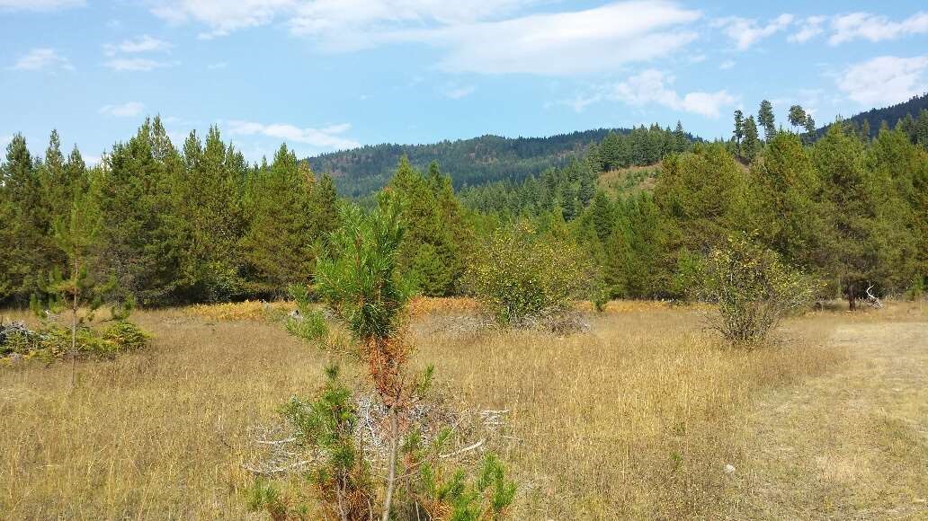 Lot 3 Edgewater - Photo 4