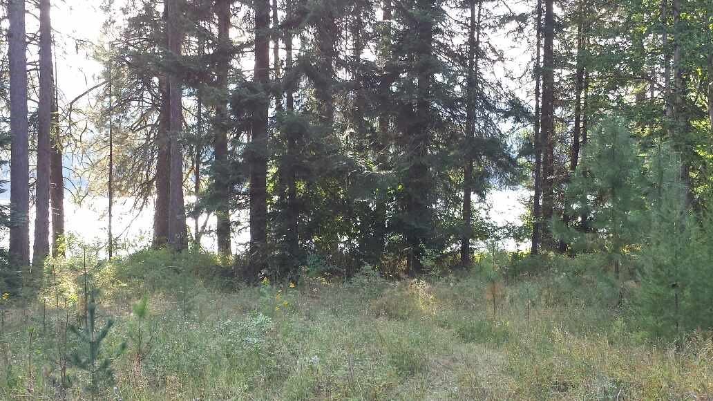 Lot 3 Edgewater - Photo 6