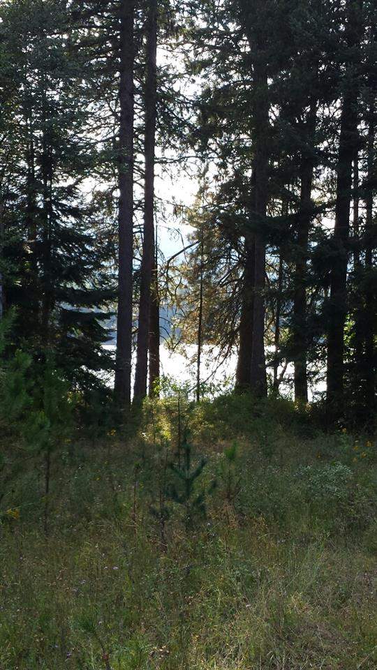 Lot 3 Edgewater - Photo 7