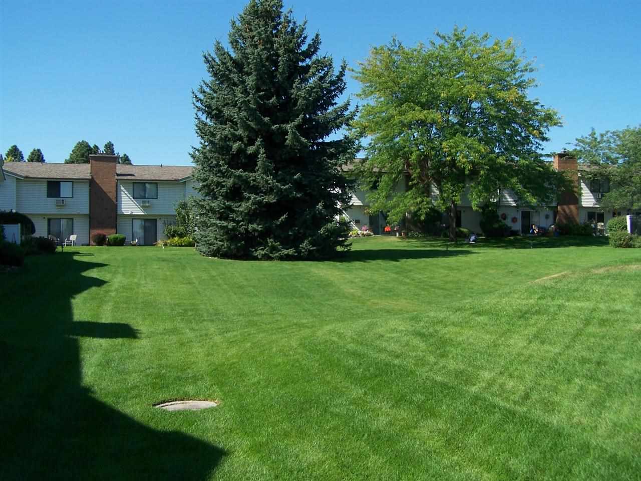 7878 N Wilding Dr - Photo 12