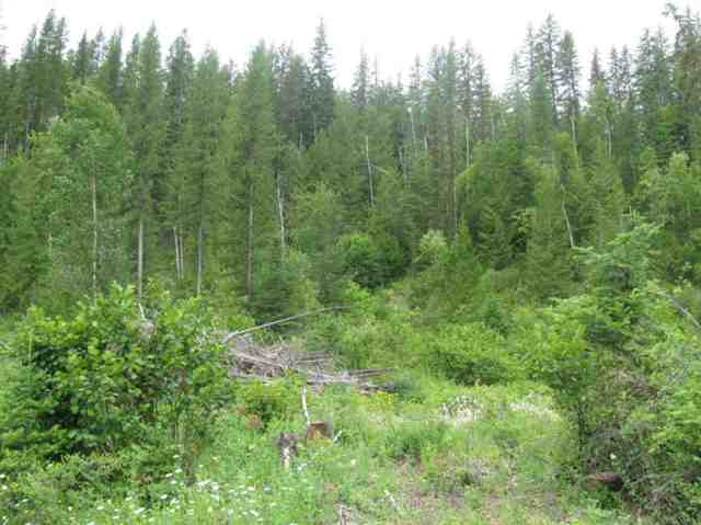 4807 N Hwy 25 - Photo 4