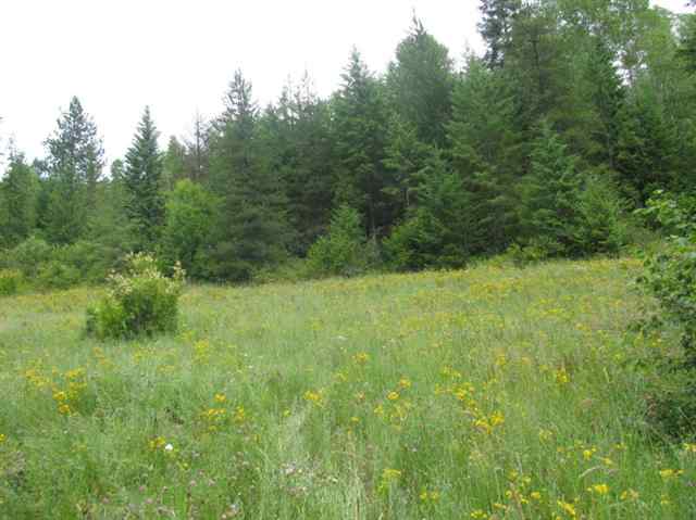 4807 N Hwy 25 - Photo 5
