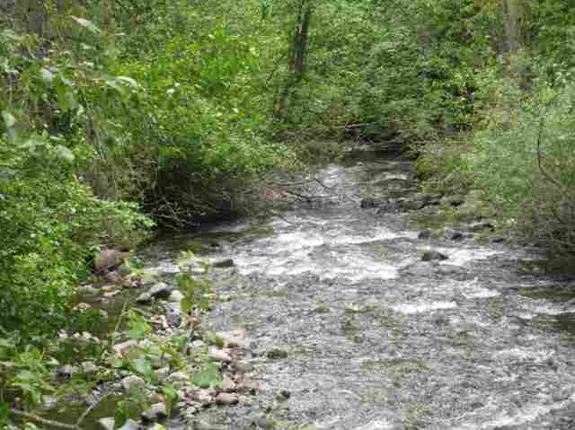 4807 N Hwy 25 - Photo 7