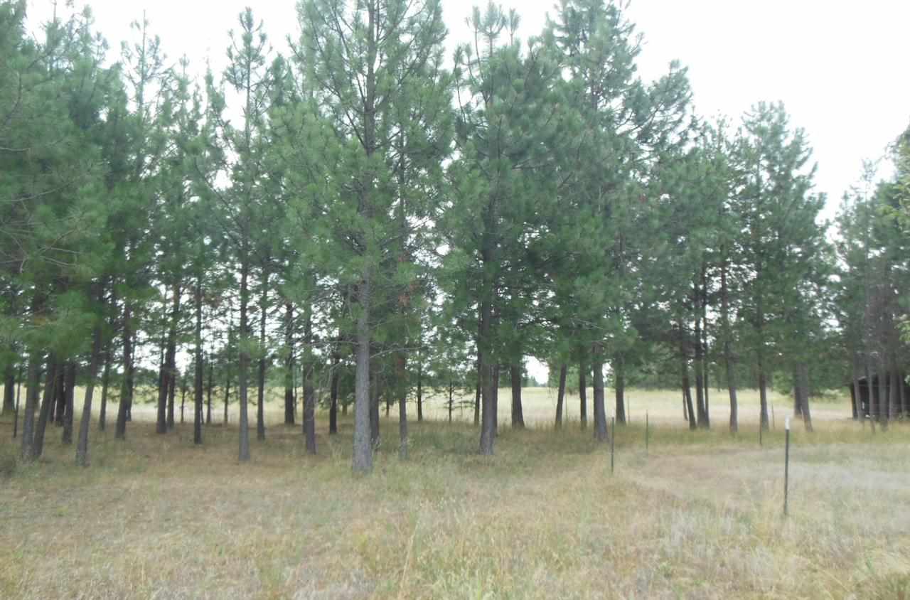2111 W Montgomery Rd - Photo 11