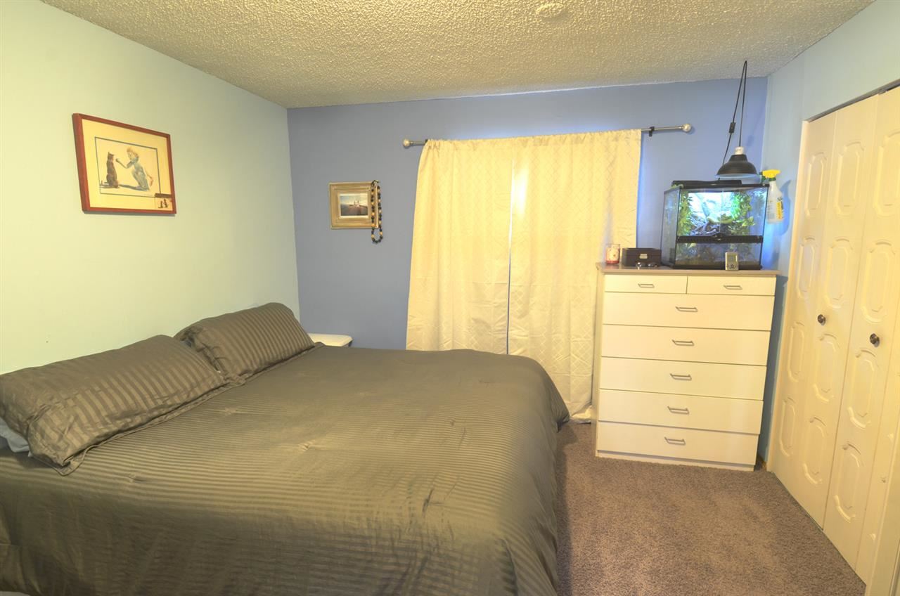 3909 N Adams - Photo 8