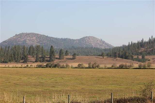 8631 W Deer Valley Rd - Photo 11