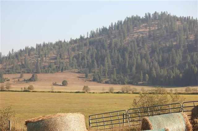 8631 W Deer Valley Rd - Photo 12