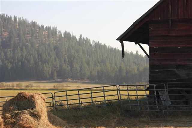 8631 W Deer Valley Rd - Photo 13