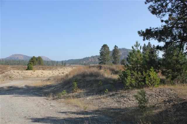 8631 W Deer Valley Rd - Photo 15