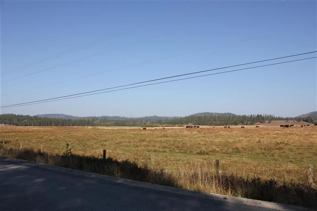 8631 W Deer Valley Rd - Photo 17