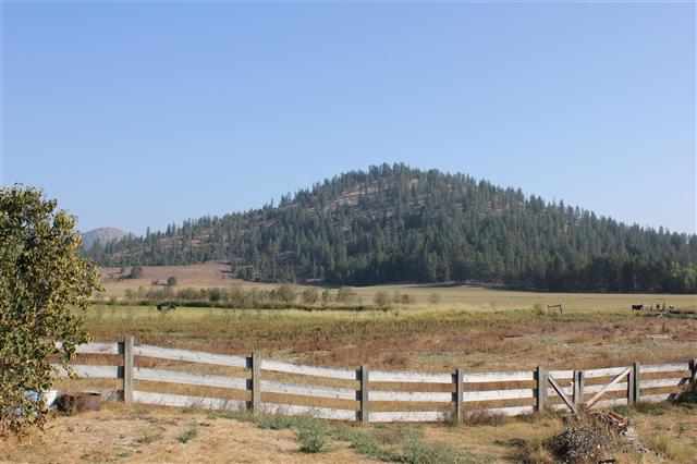 8631 W Deer Valley Rd - Photo 18