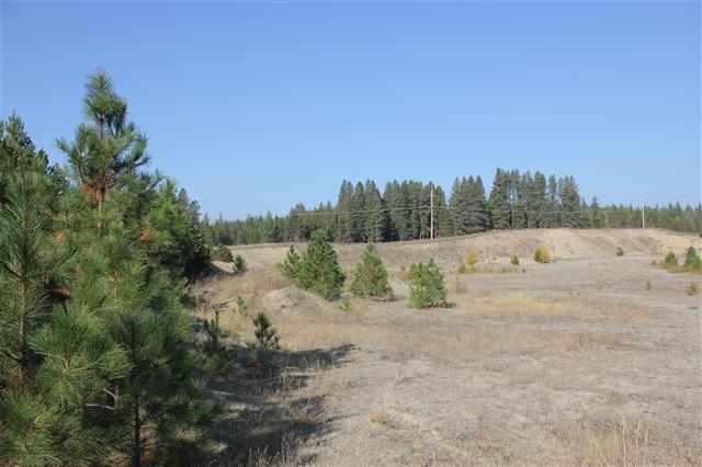 8631 W Deer Valley Rd - Photo 20