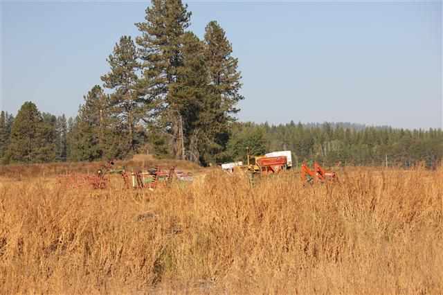 8631 W Deer Valley Rd - Photo 8