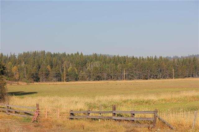 8631 W Deer Valley Rd - Photo 9