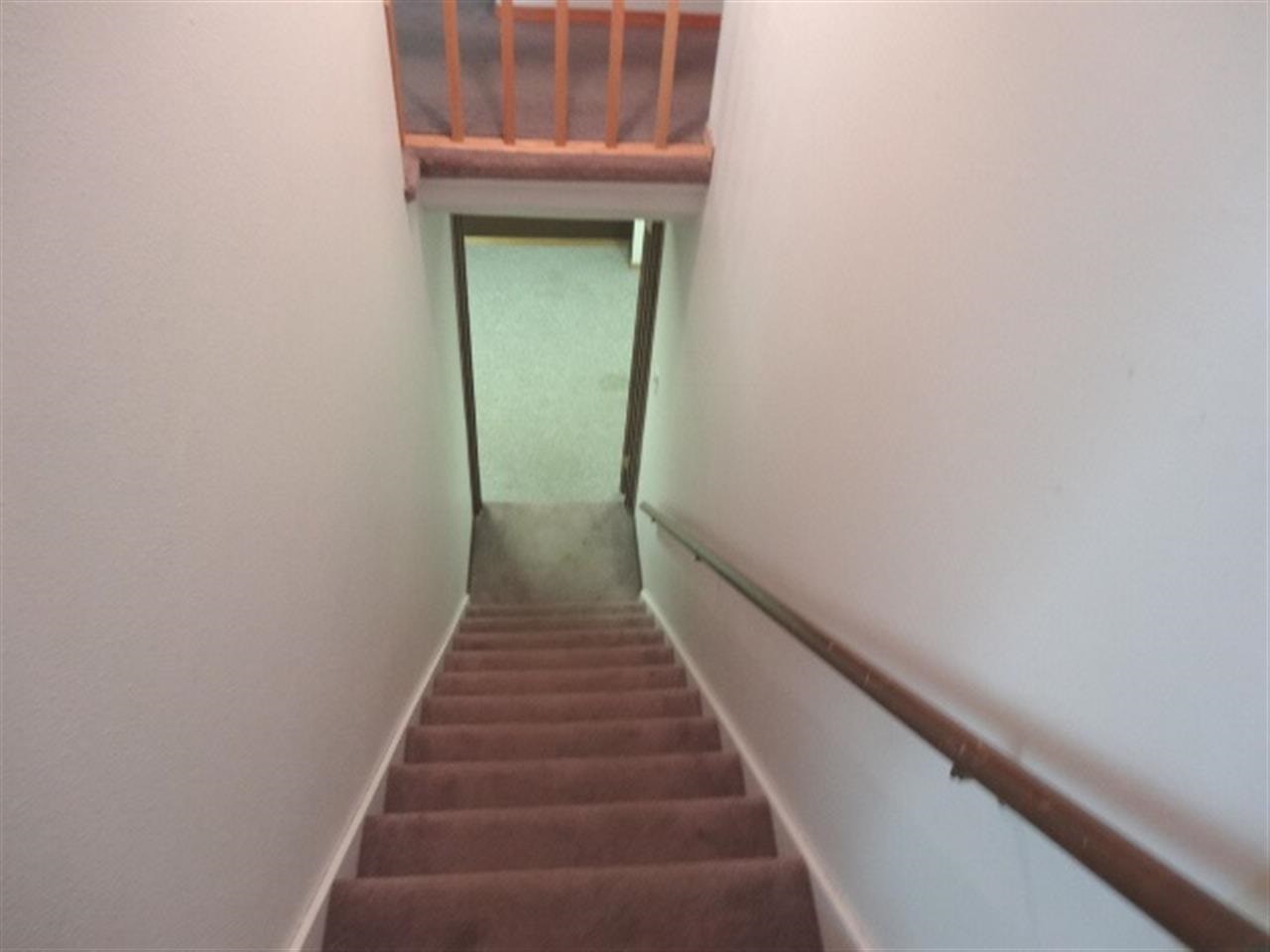 4814 N Snow Owl Rd - Photo 13