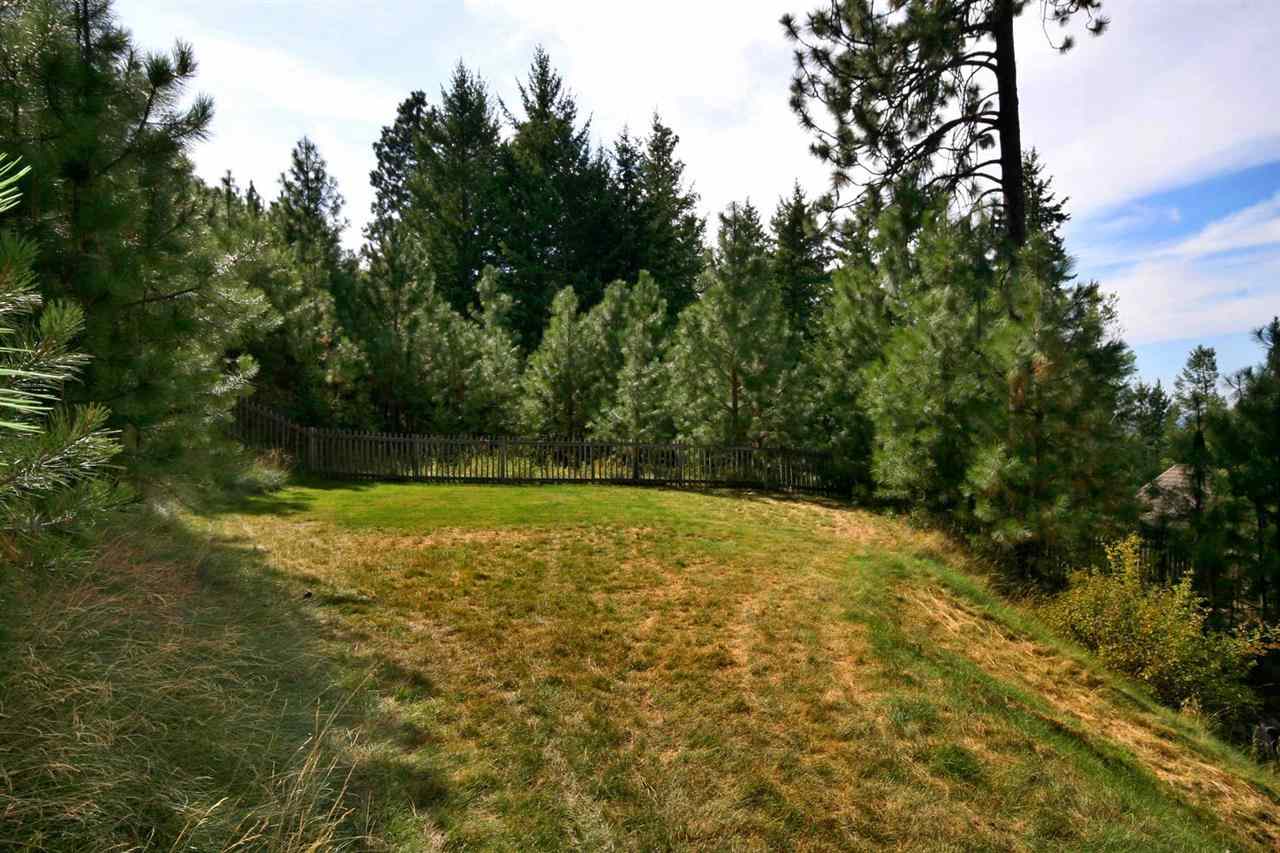 4916 S Bella Vista Dr - Photo 19