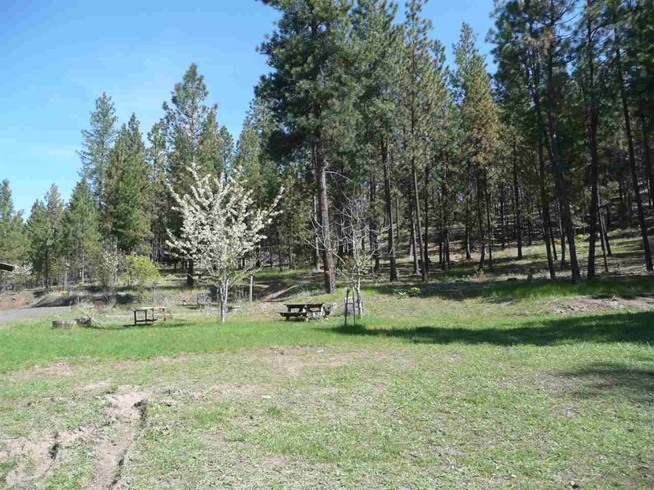 6144 Hwy 291 - Photo 11