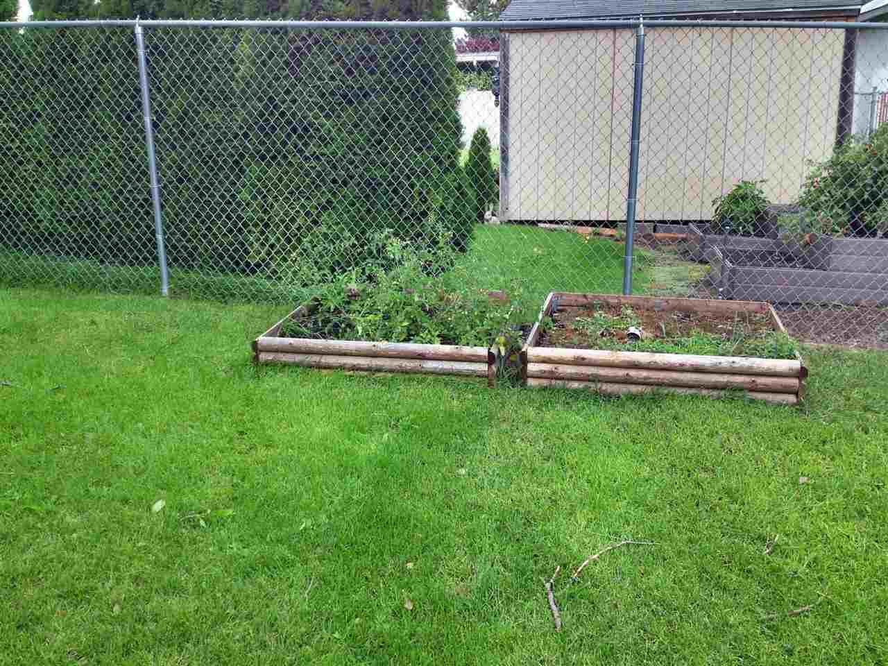 7216 N Colton - Photo 16