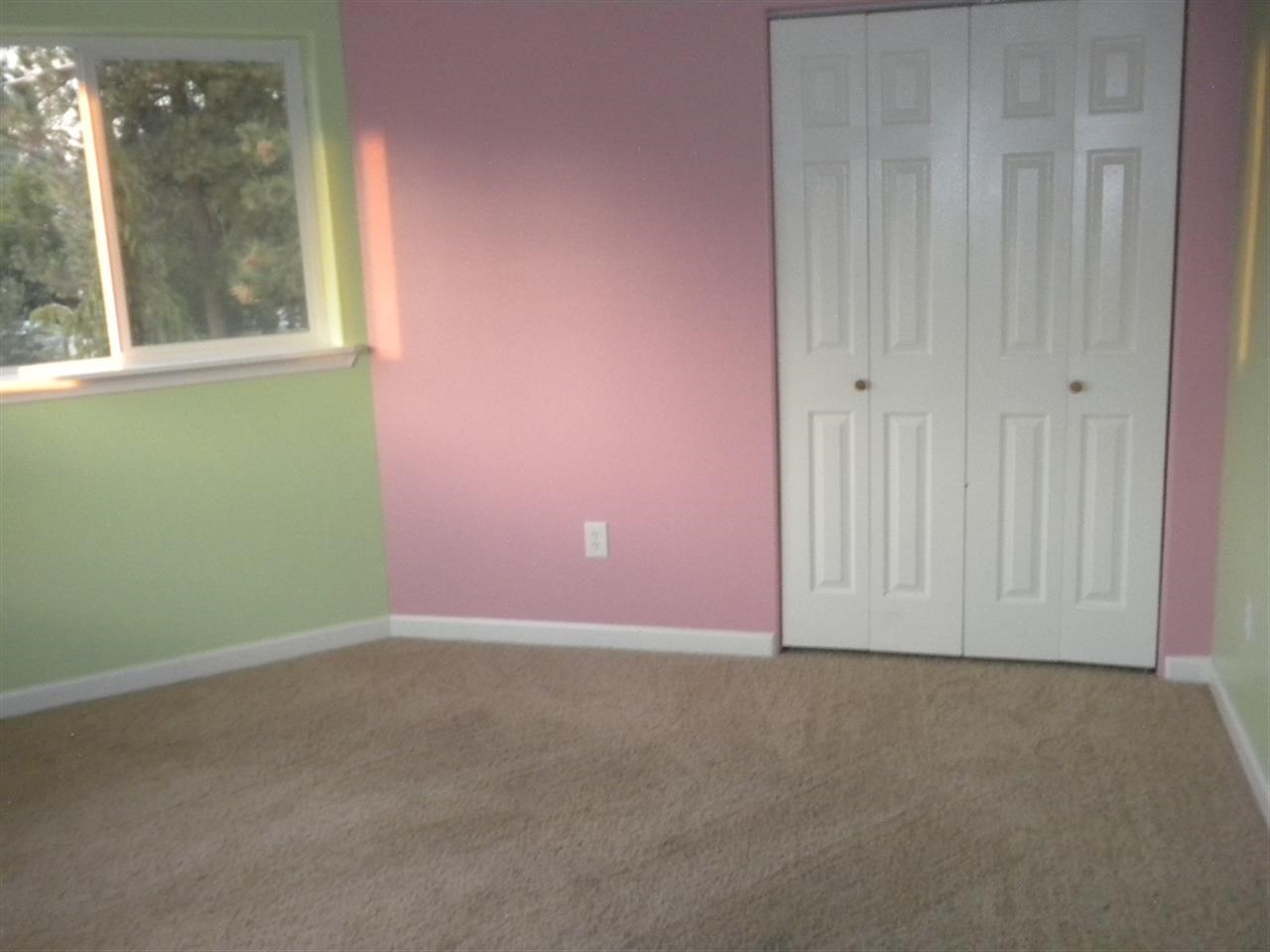 904 E Hastings Rd - Photo 17