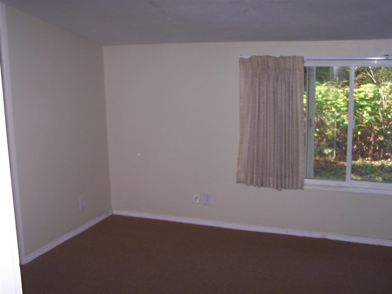 514 Timber Creek - Photo 13