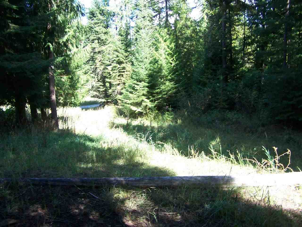 514 Timber Creek - Photo 20