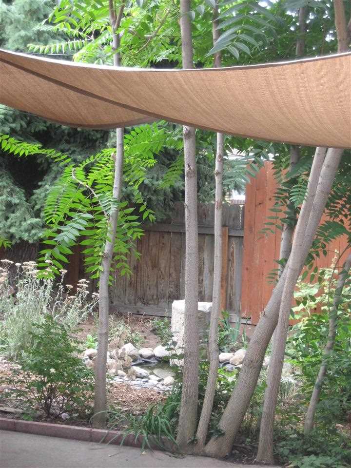 2425 E Mission Ave - Photo 5