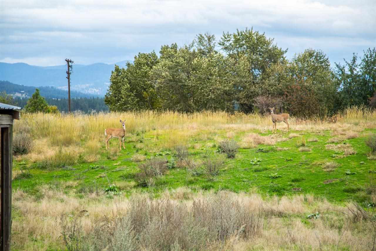 21026 N Perry Rd - Photo 19