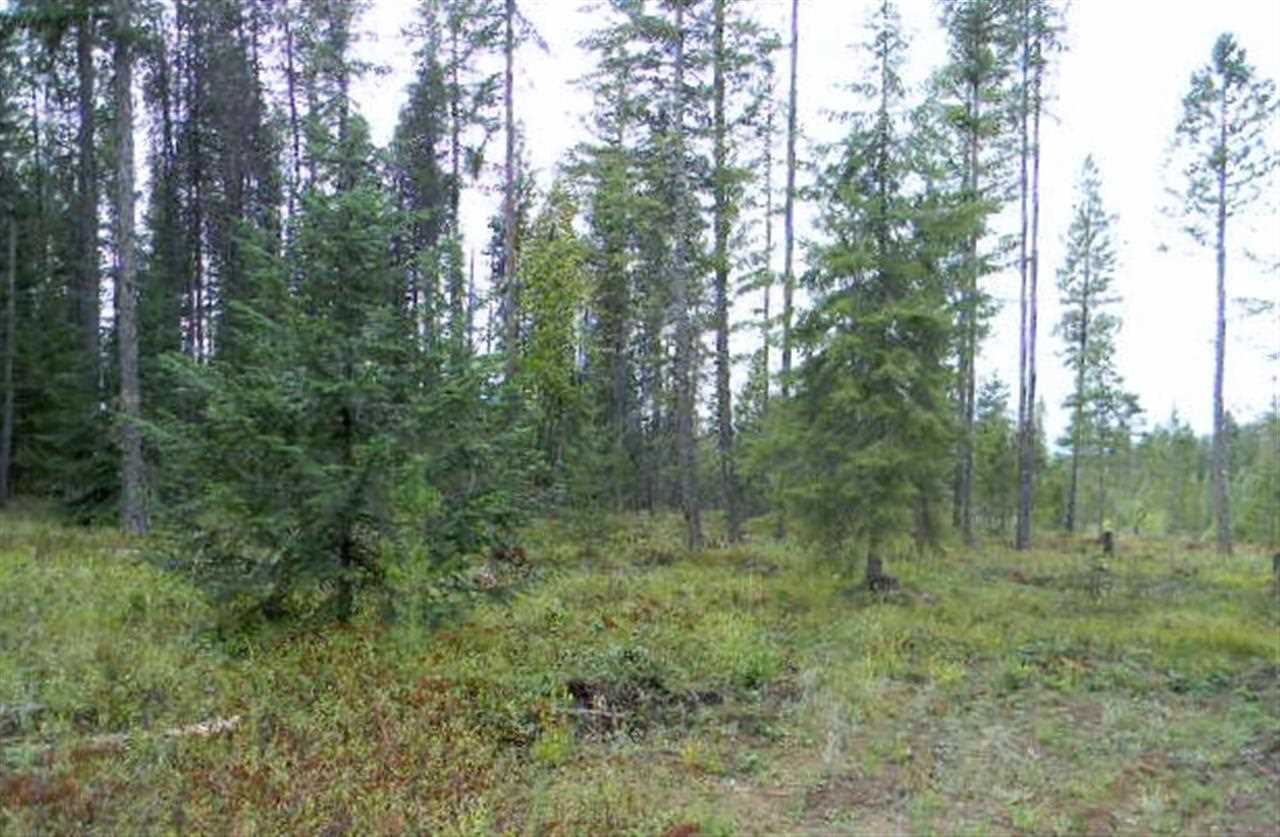 53 Four Mile Lane - Photo 14