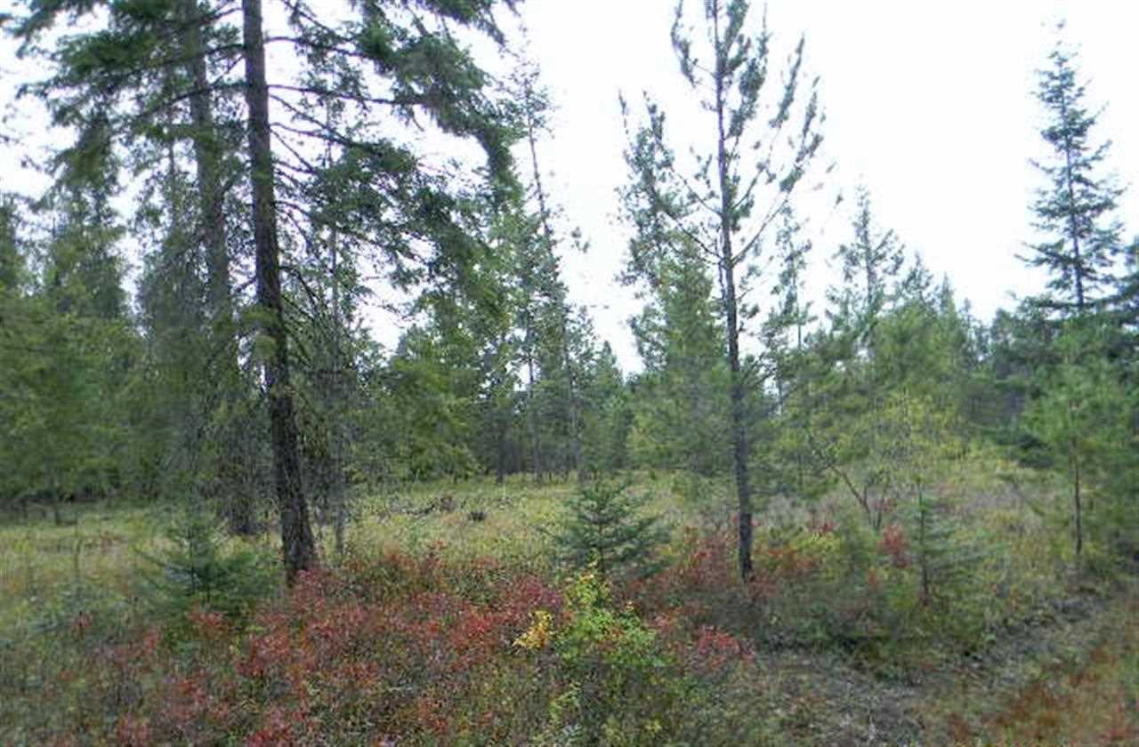 53 Four Mile Lane - Photo 15