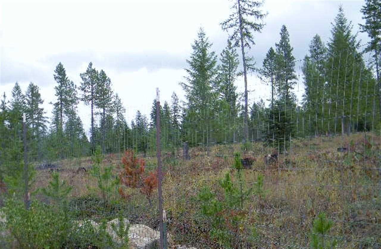 53 Four Mile Lane - Photo 17