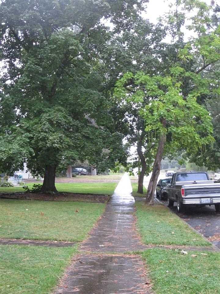 2917 W Walton Ave - Photo 7