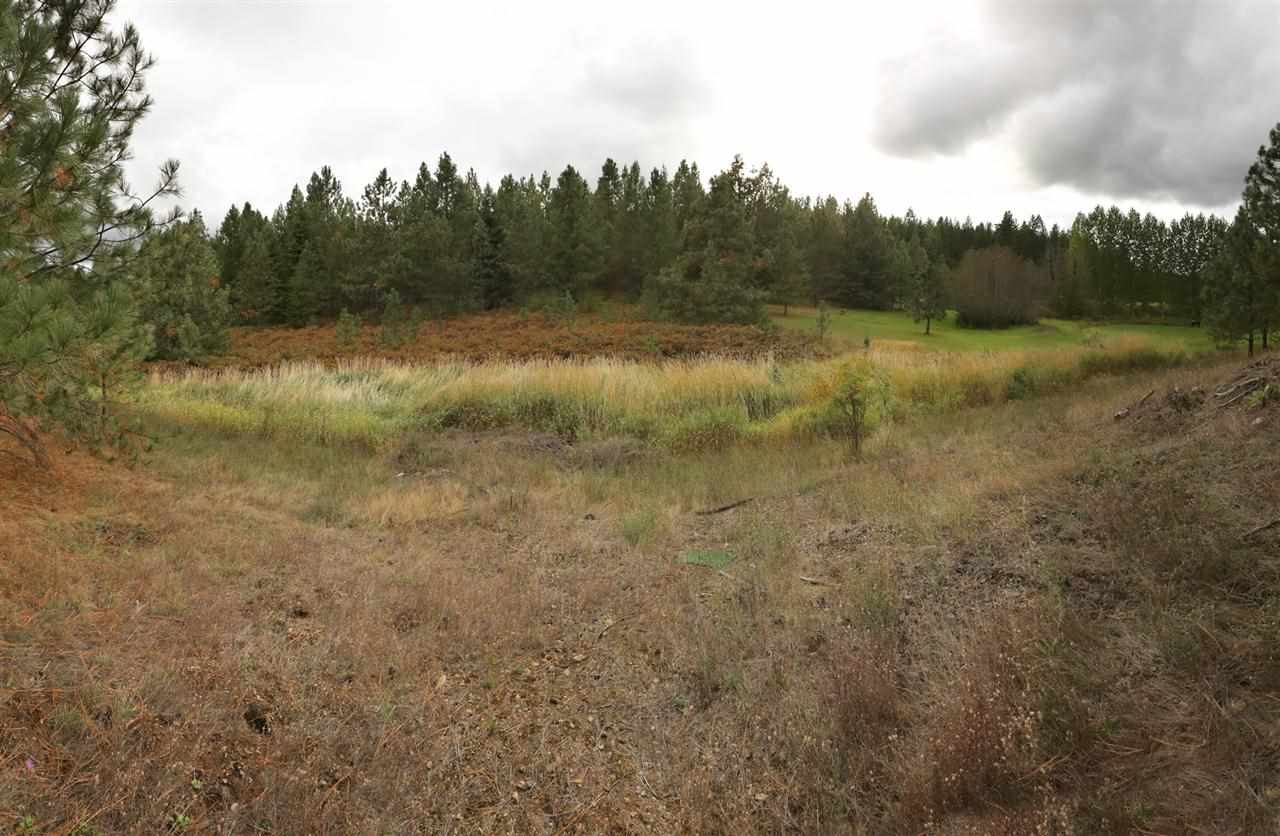 22724 E Morris Rd - Photo 16