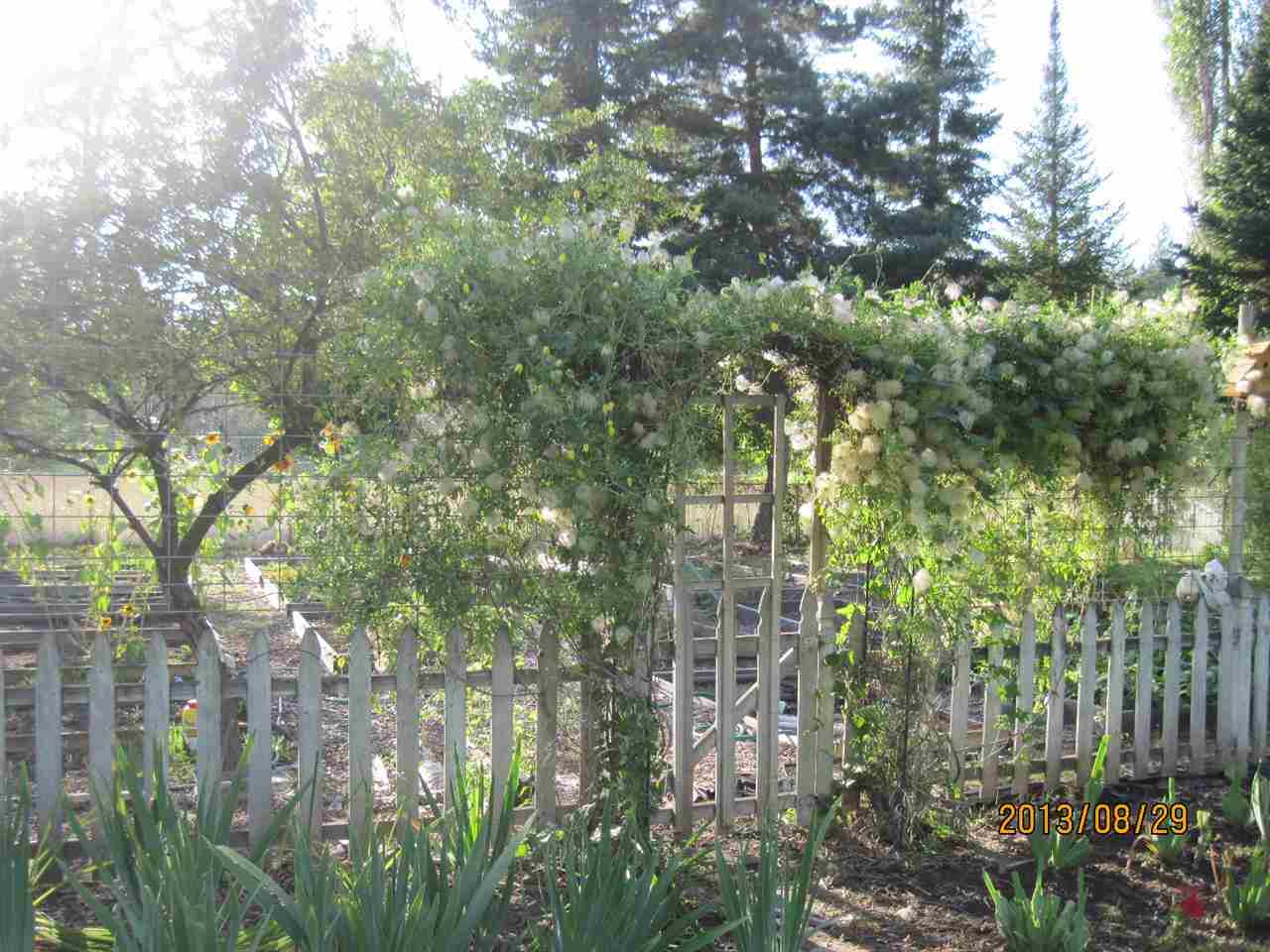 15201 N Little Spokane Ln - Photo 11