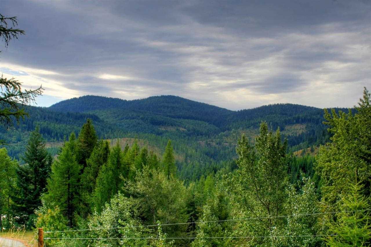 28600 N Mt. Spokane Park Dr - Photo 13