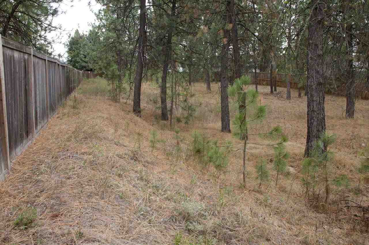 7502 N Old Fort Dr - Photo 12
