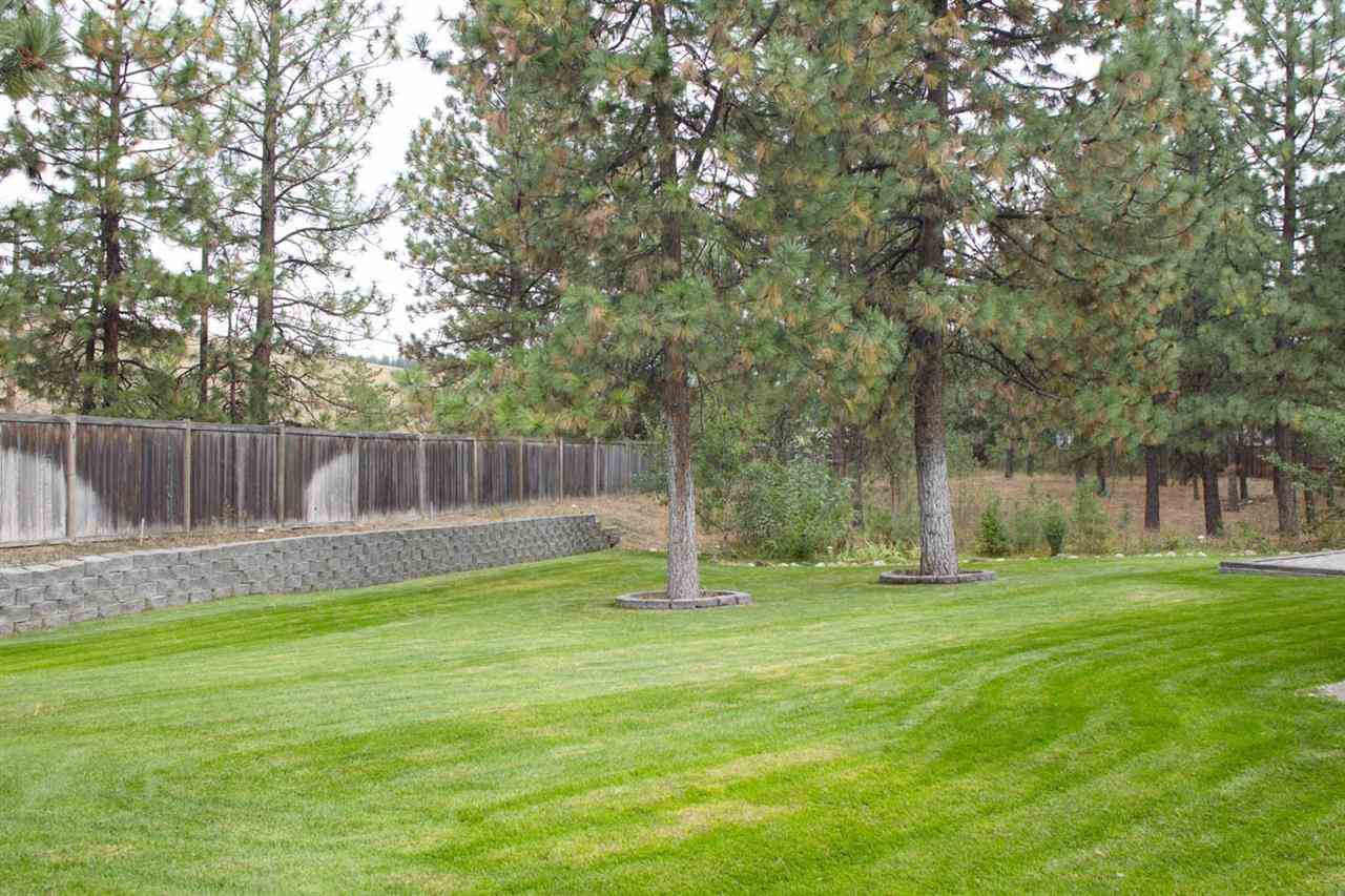 7502 N Old Fort Dr - Photo 8